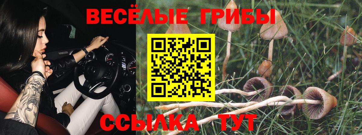 Галлюциногенные грибы прущие грибы  Псилоцибиновые грибы Magic Shrooms  Артём  Вход с VPN 